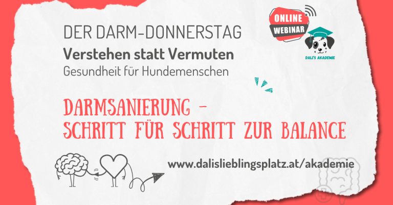 Darmsanierung – SchriTT für SchriTT zur Balance (5)